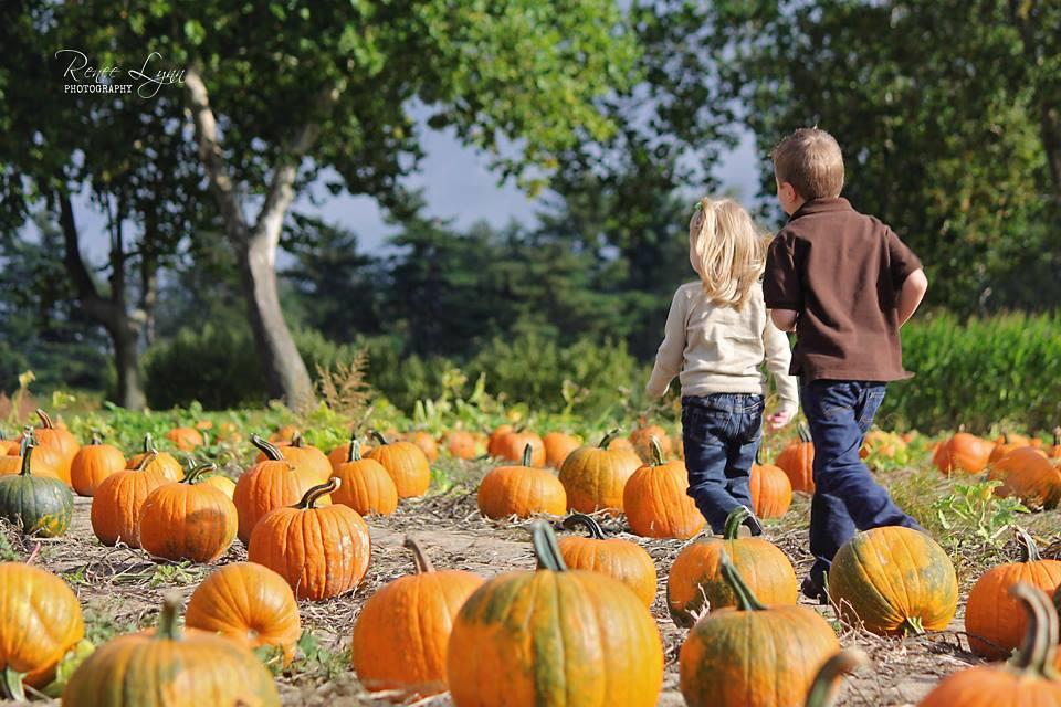 Kids pick out their own pumpkins at Duffield's Farm & Market. Several Halloween events near Rowan University, including a hayride and pumpkin picking at Duffield's Farm and Market, are still being held during the month of October. - Photo via duffieldsfarm.com