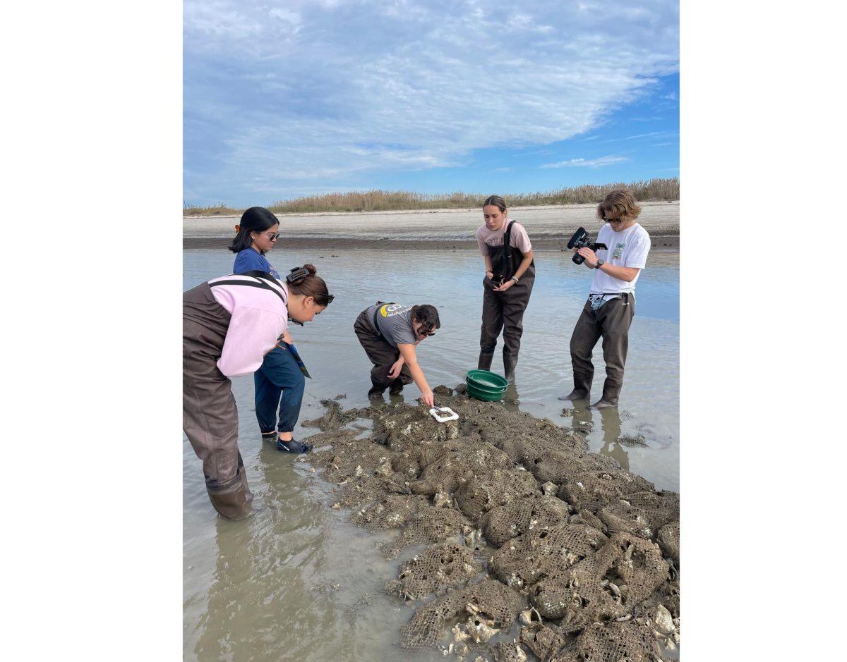 Students from the News Lab class during their field trip to the oyster reefs. - Photo via SJ Climate News