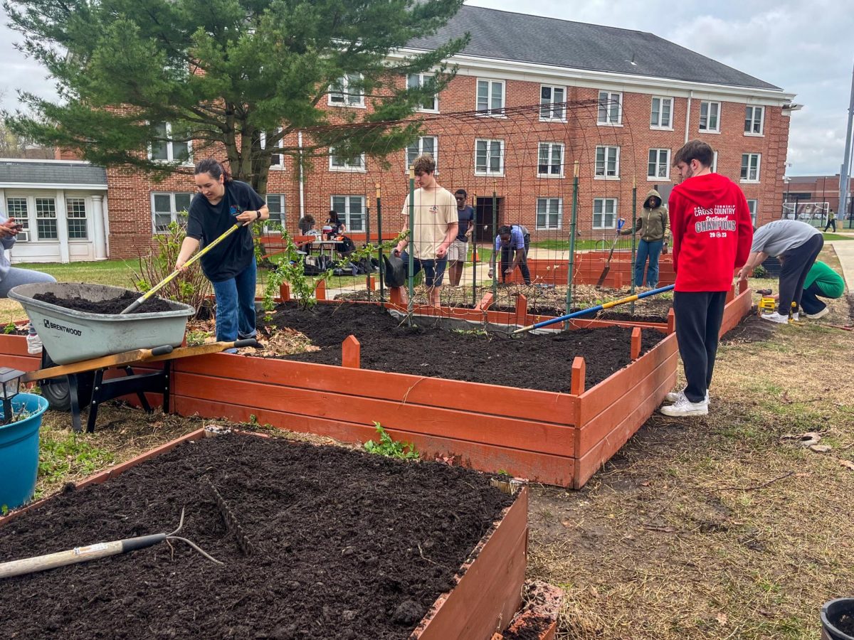 "This was a day for other clubs and students from different majors to come together and clean up the garden." - Staff Writer / Julissa Sierra